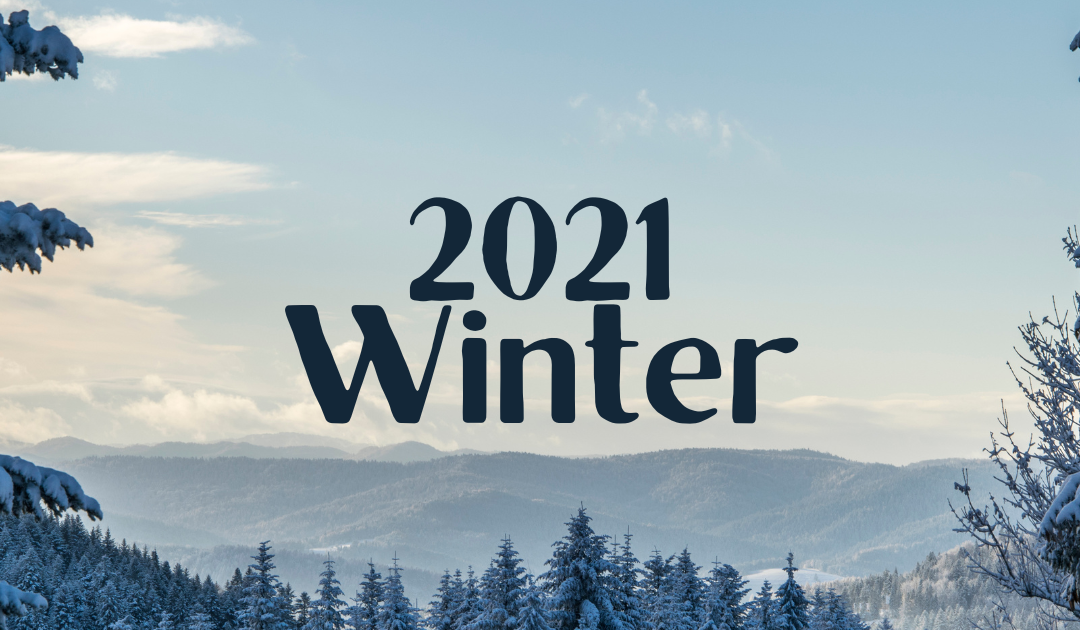 2021年冬（１・２・３月）の配当金報告
