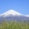 遠くに富士山